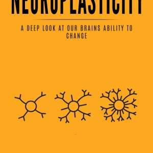 Neuroplasticity Books