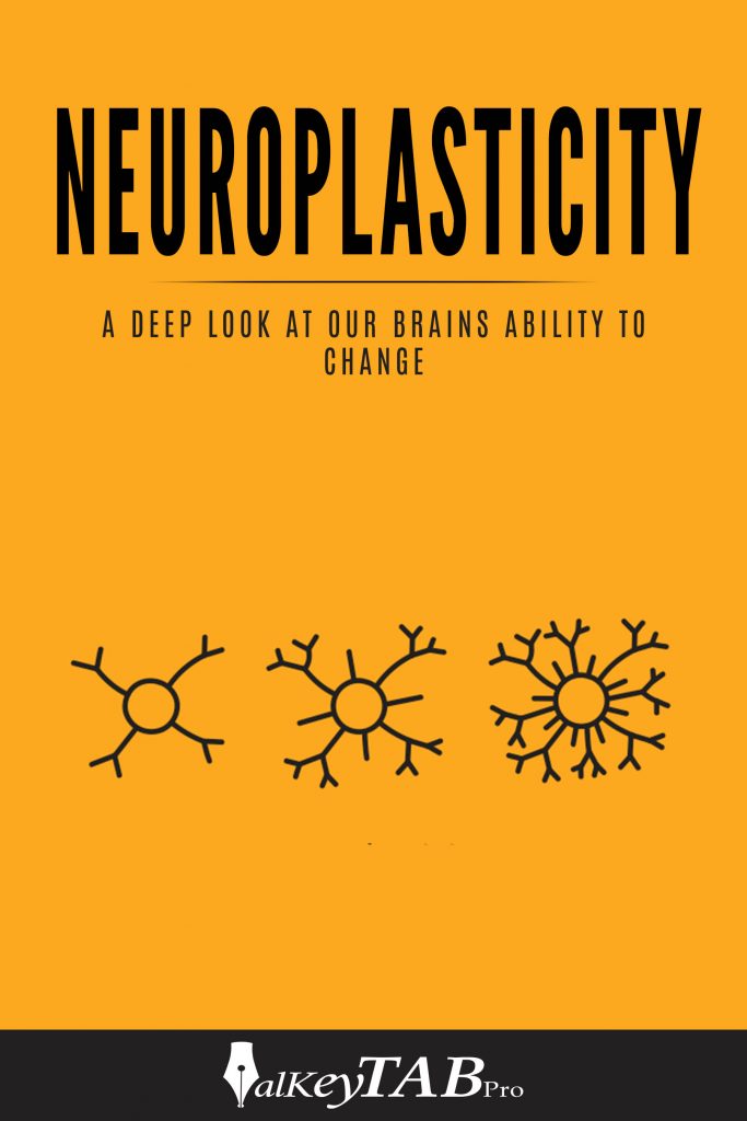 Neuroplasticity Books