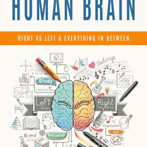 The Human Brain Ebook